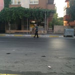 Özlem lokantası