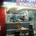 çağrı börekçilik