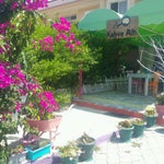 Kahve Altı