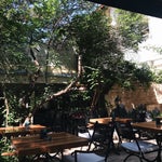 Turta Home Cafe