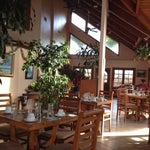 Island Palm Grill & Bar