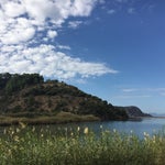 Ekin Kır Evi