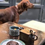 Hidden Coffee House