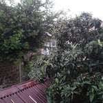 Bizim Mutfak (leyl)
