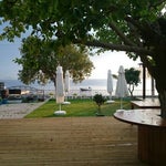 Yüksel Butik Pansiyon & CAFE