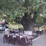 Meşe Kahvaltı & Et Mangal