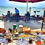 Medcezir Hungry Ghost