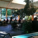 Cafe Flora