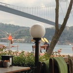 Fincan Kahve