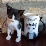 Petiko Shop & Cafe