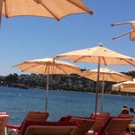 Shadow Beach & Restaurant