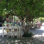 Limonatta