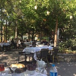 Çalgan Bahçe