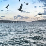 Yeniköy Sahil Cafe