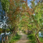Arif Abi'nin Yeri