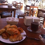 Asya Borek