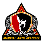Brad Haynes Martial Arts Academy