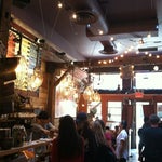 The Grey Dog - Nolita