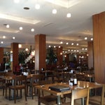 Saray Muhallebicisi