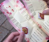 古都・鎌倉で、桜を楽しむ春の女子旅