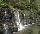 箱根の自然に癒される旅
