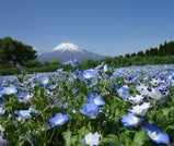 夏の訪れを感じる山中湖の大人癒やし旅