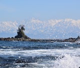 富山「南西エリア」で、緑豊かな稲穂と田舎風景に癒やされる夏の旅