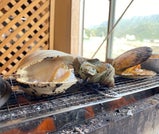 温泉でまったりして、海の幸を満腹になるまで味わい尽くす南房総の旅