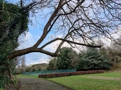 Maryon Wilson Park