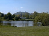 Tongham Pond