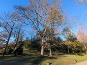 Hotham Park