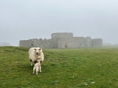 Camber Castle