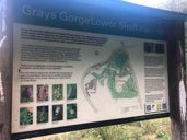 Grays Gorge Nature Reserve