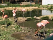 Hanwell Zoo