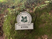 The Kymin