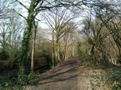 Beverley Brook Walk