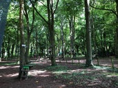 Jungle Tree Course