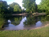 Buckhurst Hill Duck Pond