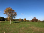 Cofton Park