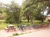 Tooting Community Garden