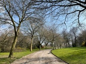 Fenton Park