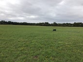 Portholme Meadow