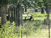 The Wilderness Deer Park