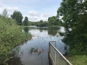 Backwell Lake