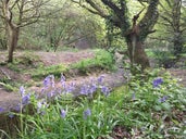 Rivacre Valley Country Park