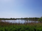 Stanwick Lakes