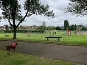 Henderson Community Park