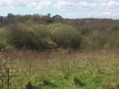 Westwood Nature Reserve