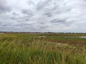 New Wallasea Island RSPB Reserve