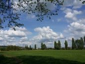 Shaftesbury Park